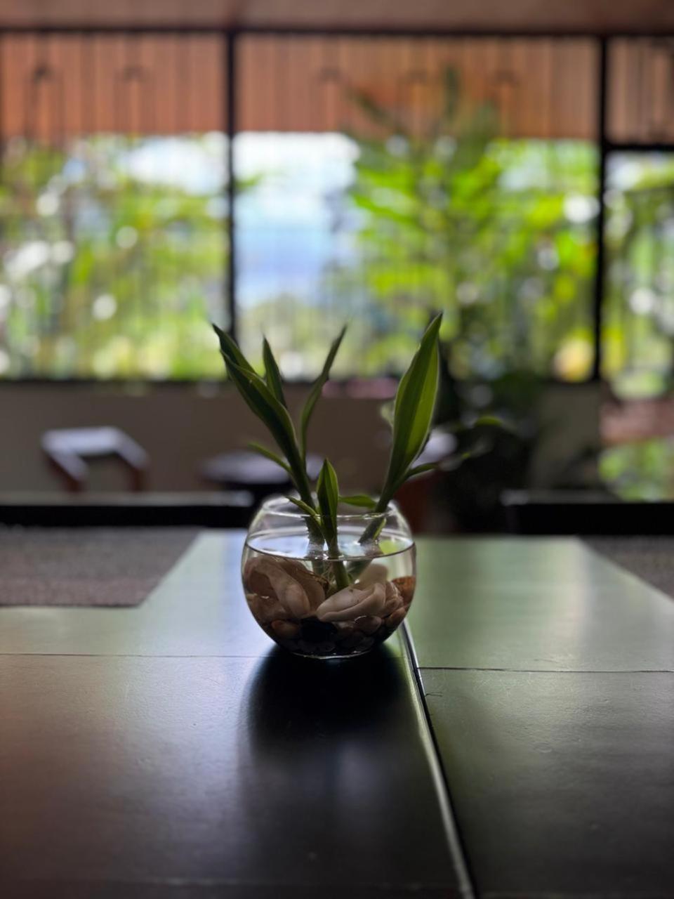 Cerro Chato'S House La Fortuna 外观 照片